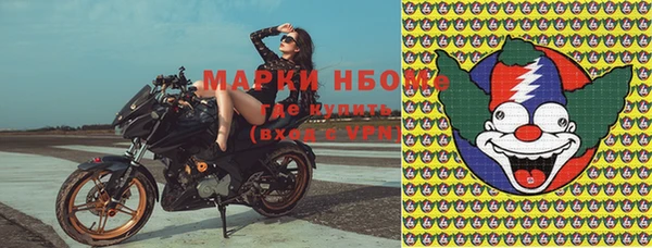 прущие грибы Магас